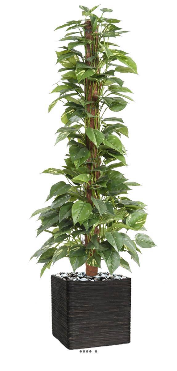 Artificielles - Pothos artificiel sur tuteur en pot très dense H 130 cm vert-blanc - Imagen 3