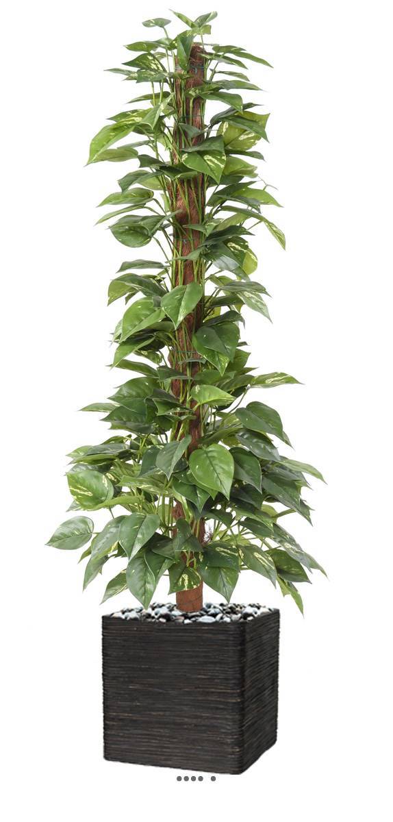 Artificielles - Pothos artificiel sur tuteur en pot très dense H 130 cm vert-blanc - Imagen 1