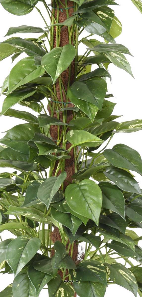 Artificielles - Pothos artificiel sur tuteur en pot très dense H 130 cm vert-blanc - Imagen 2