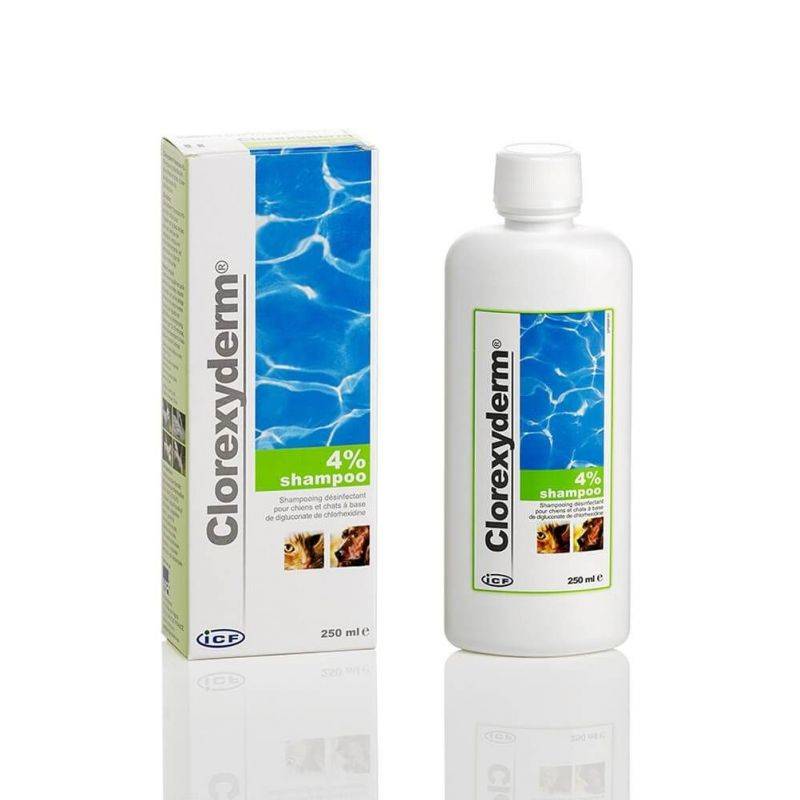 CLOREXYDERM SHAMPOOING - LDCA 250