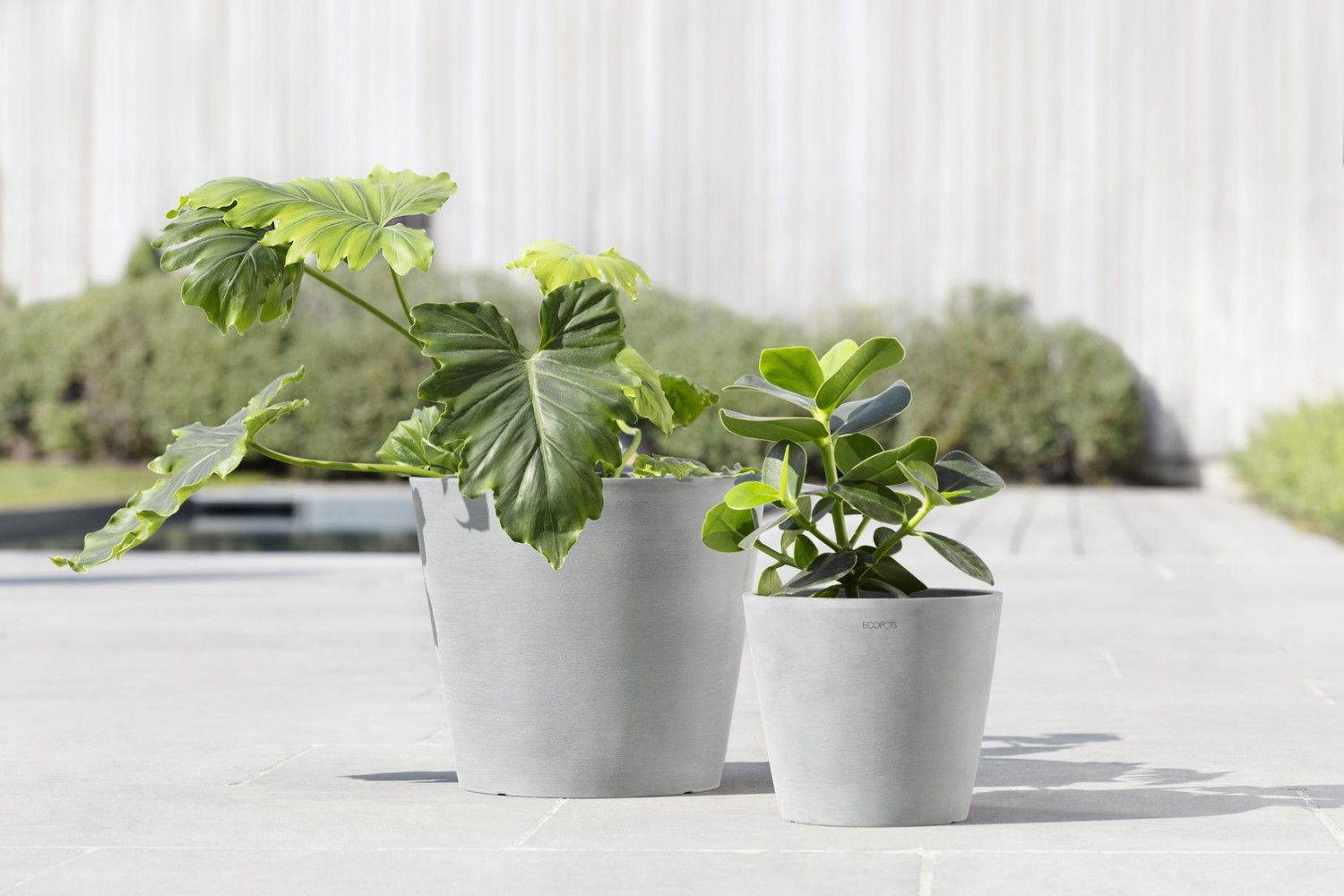 Ecopots - Pot Rond Amsterdam 30 Blanc Gris - Ø 30 x H. 26,3 cm - 12,8 L ECOPOTS - Imagen 5