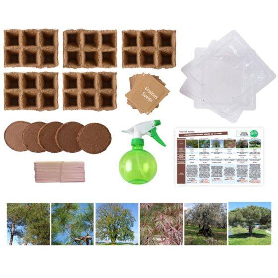 Radis et Capucine - Radis et Capucine - Coffret matériel et 30 sachets de graines : Les arbres de la forêt - Imagen 2