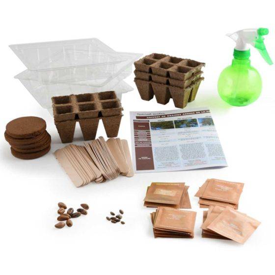 Radis et Capucine - Radis et Capucine - Coffret matériel et 30 sachets de graines : Les arbres de la forêt - Imagen 1