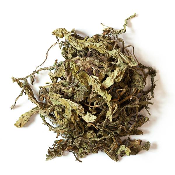 Feuilles de pissenlit - 50 g - L'Eden des Pattounes