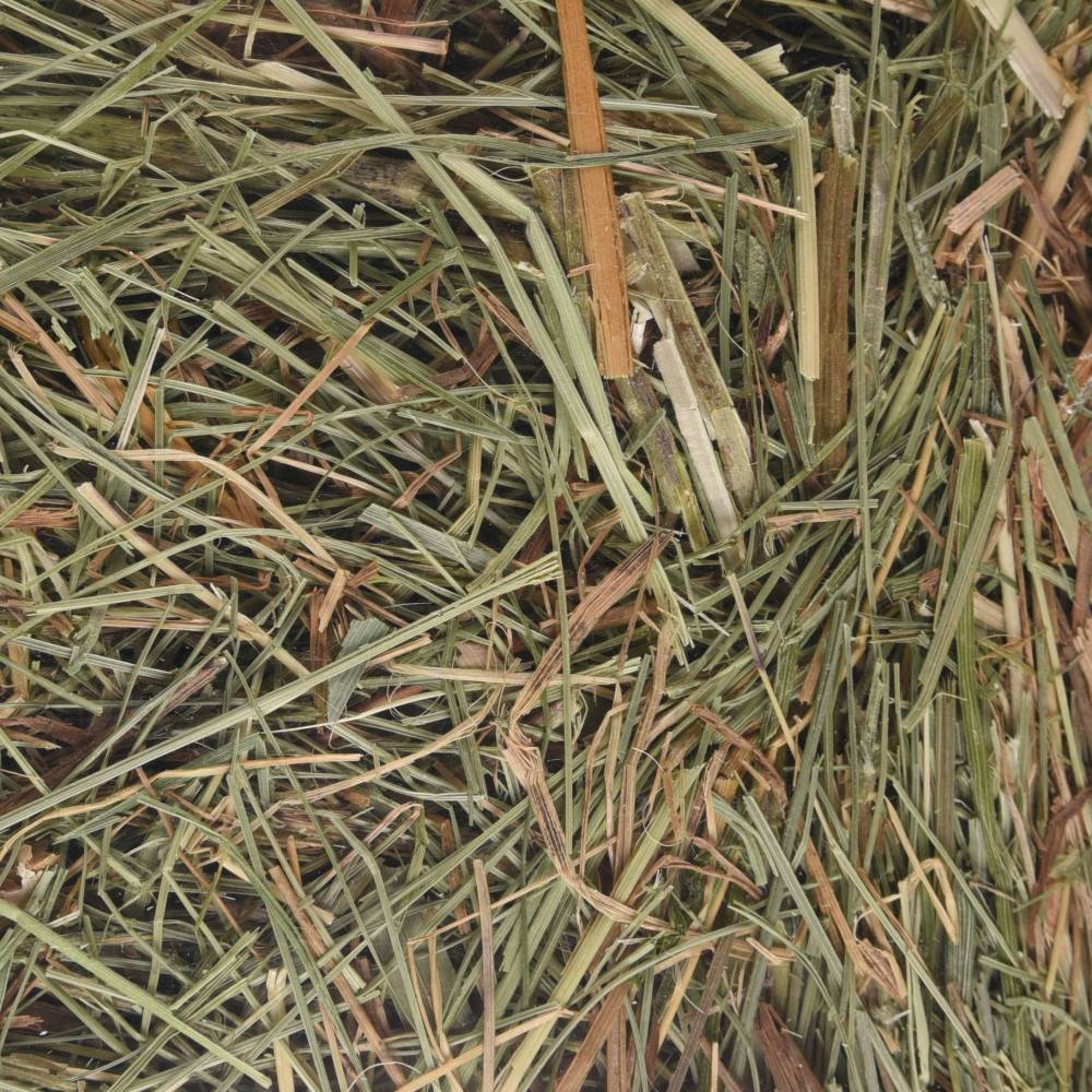 Foin de montagne avec orties 500 g pour rongeurs - Imagen 2