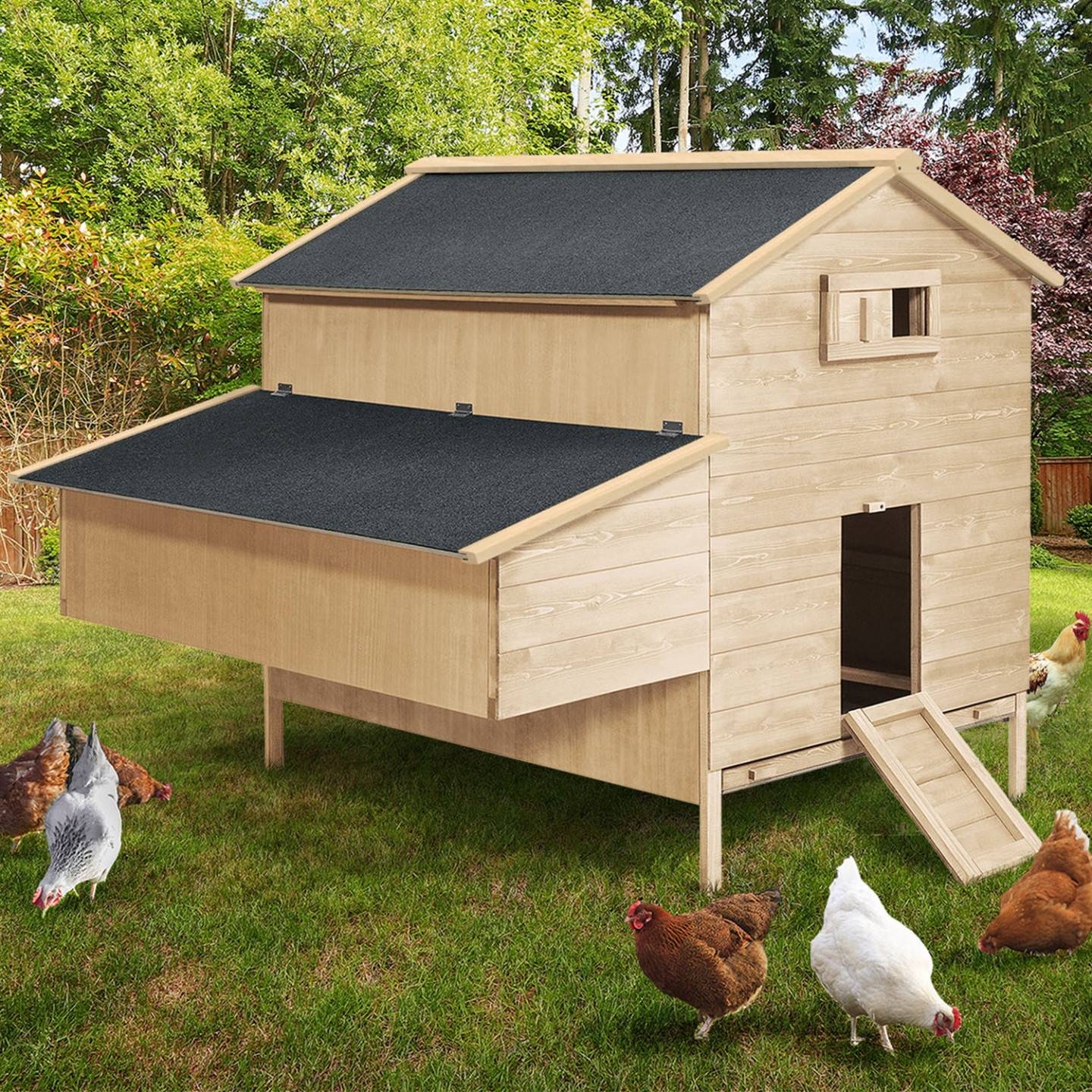 Poulailler bois XXL avec pondoir, rampe, perchoir et toit bitumé - ID Market - Image 1