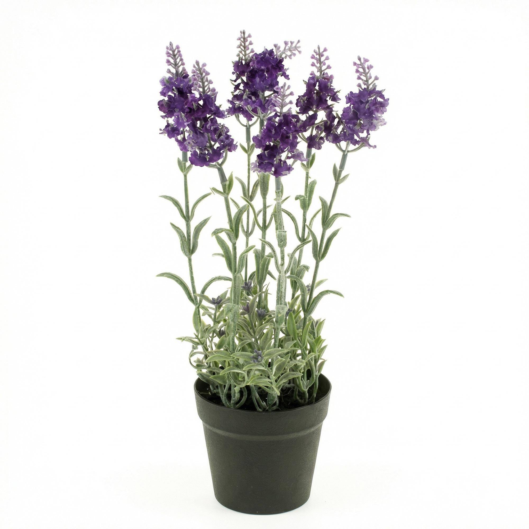 PANGIVO - Plante artificielle lavande plastique violet 15 x 15 x 28 cm - PANGIVO - Image 2