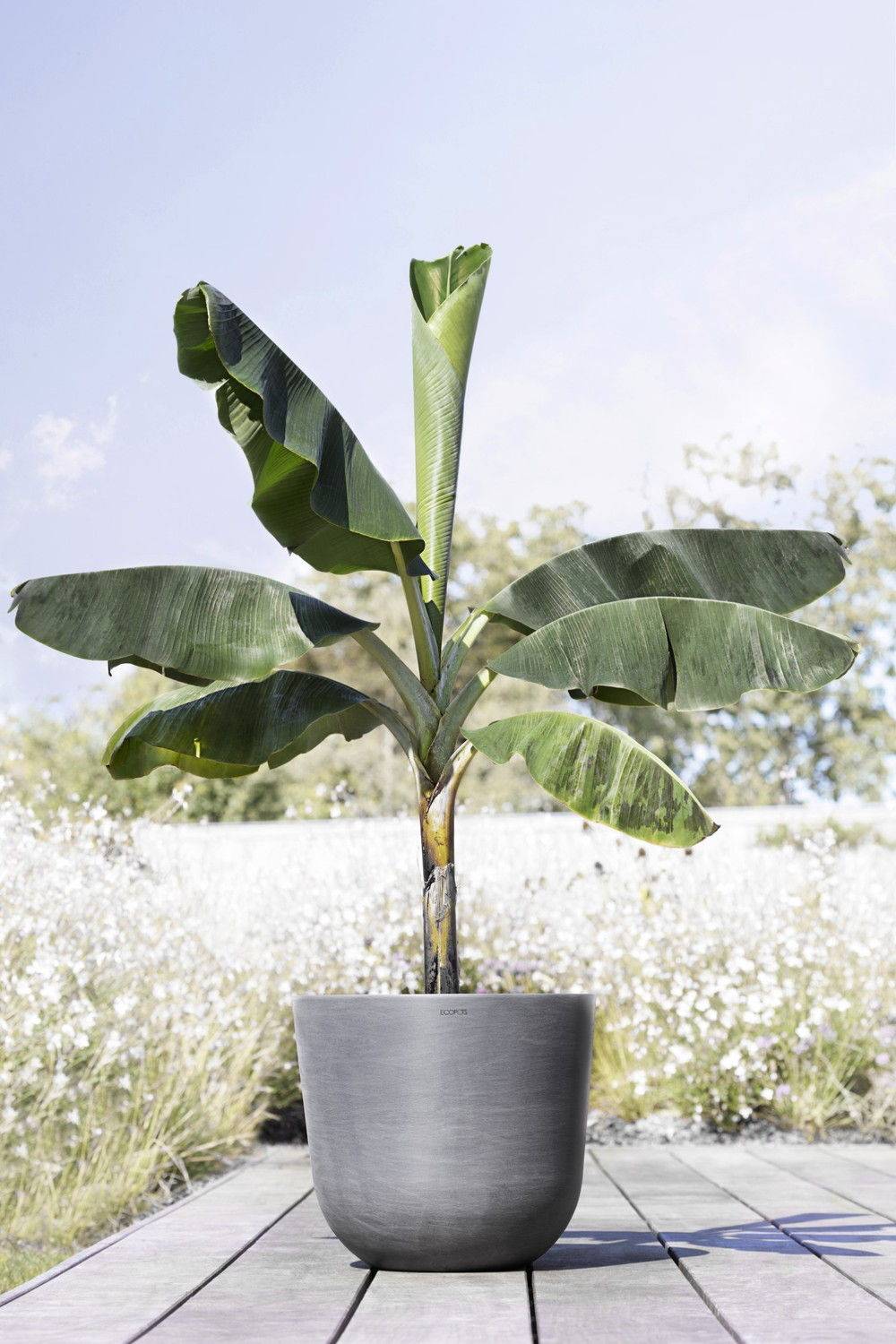 Ecopots - Pot Rond Oslo 45 Gris - Ø 45 x H. 39,2 cm - 46,6 L ECOPOTS - Imagen 4