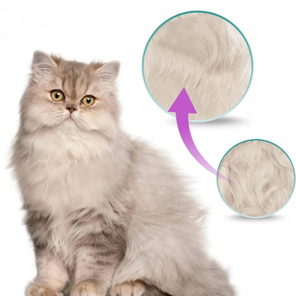 IntiMeg - Peigne pour animaux de compagnie IntiMeg - Image 2