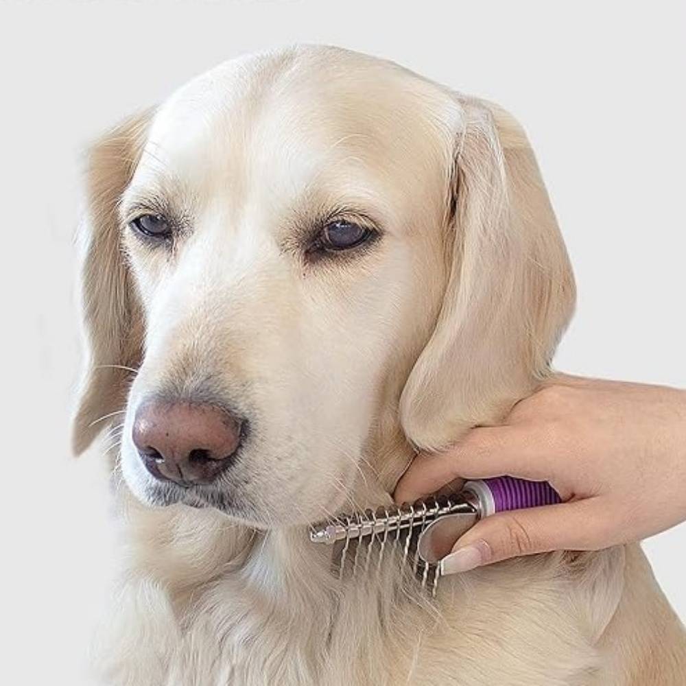 IntiMeg - Peigne pour animaux de compagnie IntiMeg - Image 3