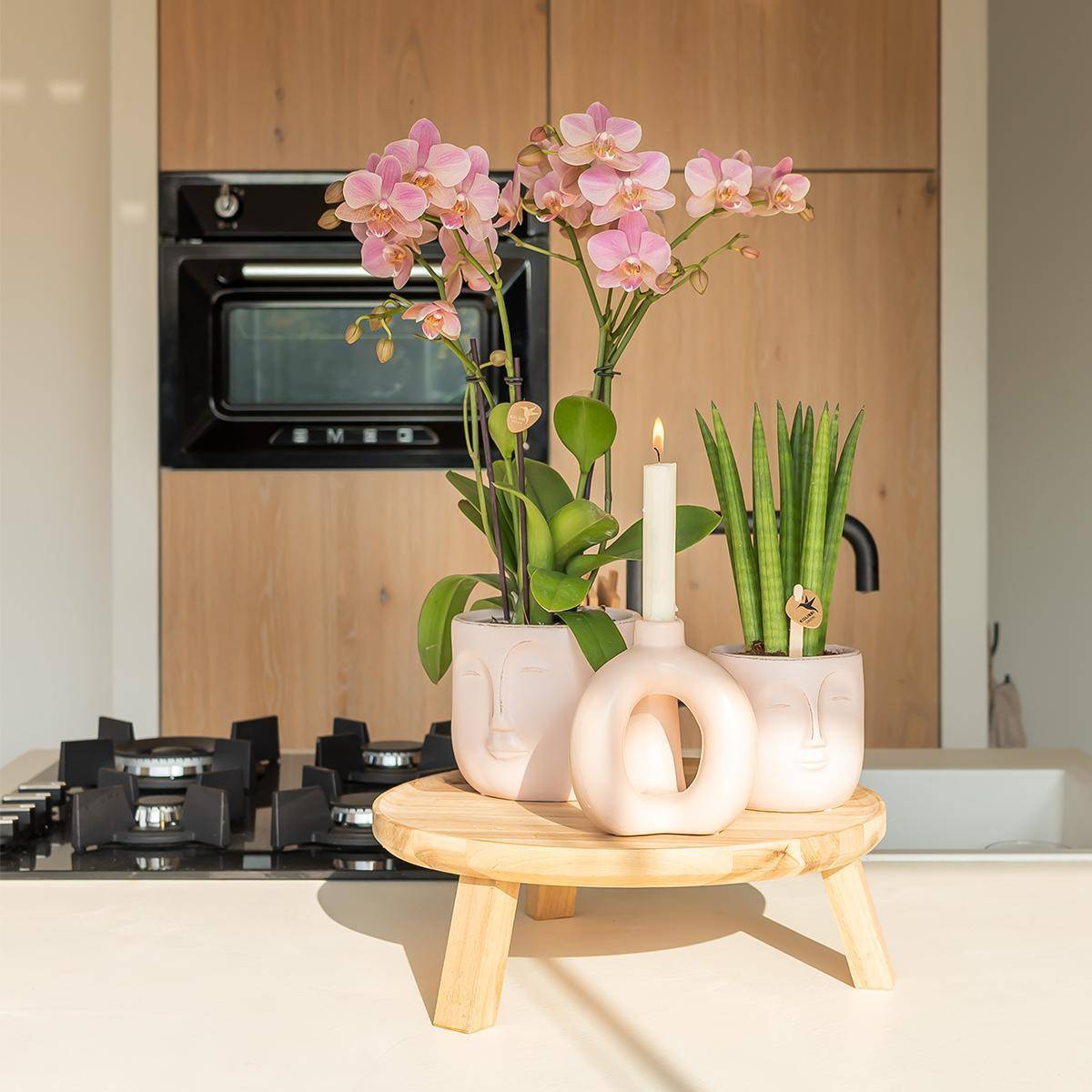 La Green Touch - Orchidée Phalaenopsis rose - Jewel Treviso - Plante d'intérieur 45cm - Plante d'intérieur- La Green Touch - Imagen 2