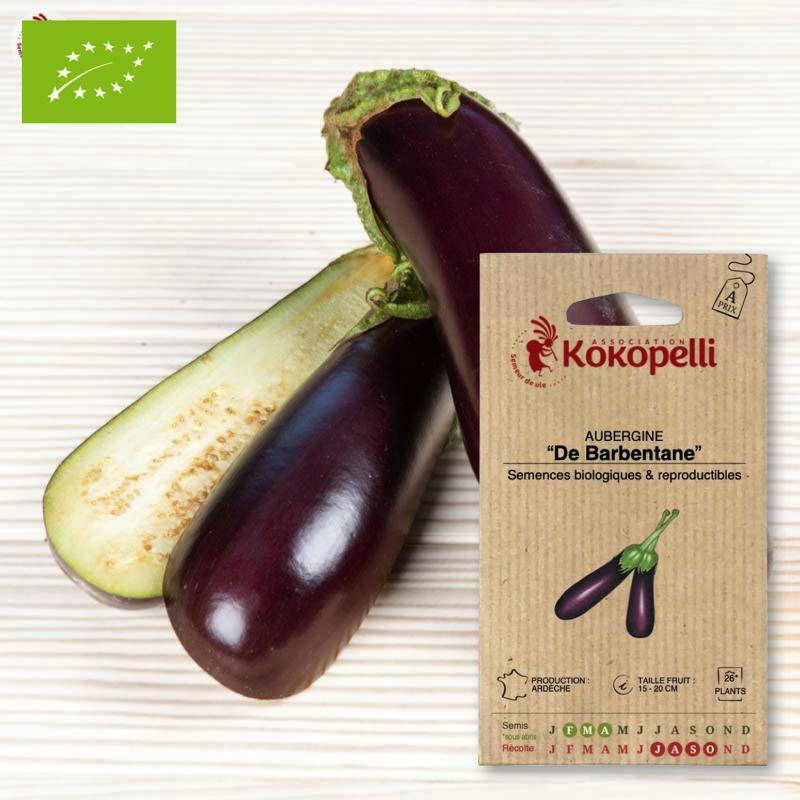 Aubergine De Barbentane- Graines bio à semer