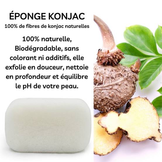 Sun&Sia - Éponge Konjac XL 100% Naturelle – Nettoie en Profondeur et en Douceur - Soin et Routine Beauté Naturel-Tous Types de Peau - Image 4