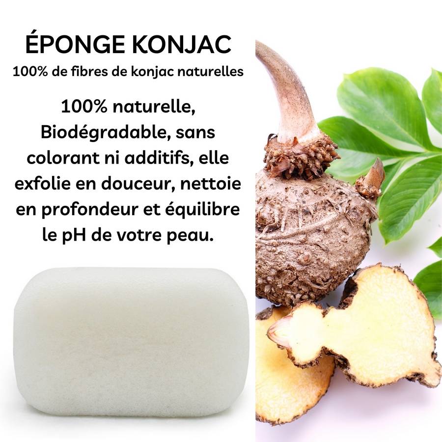 Sun&Sia - Éponge Konjac XL 100% Naturelle – Nettoie en Profondeur et en Douceur - Soin et Routine Beauté Naturel-Tous Types de Peau - Image 4