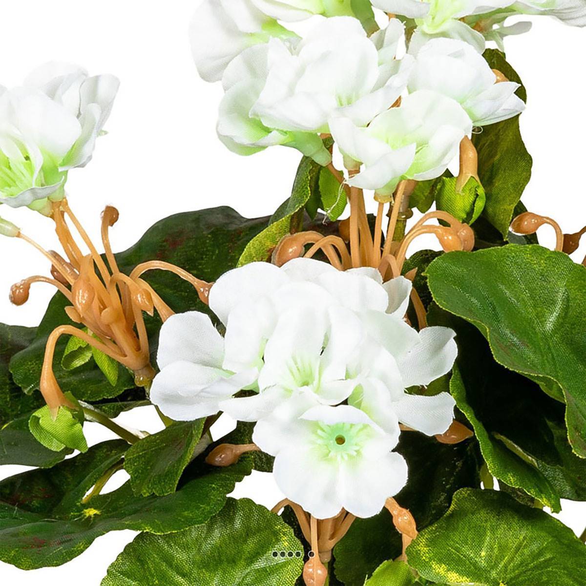 Artificielles - Piquet de géranium artificiel Anti-Uv H 24 cm Crème vert - couleur: Crème vert - Imagen 3