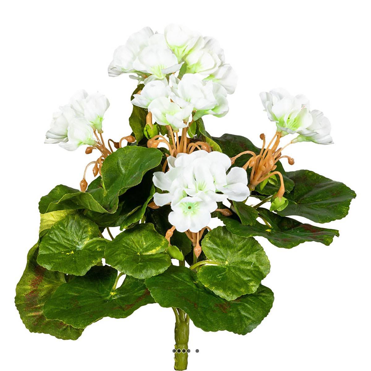 Artificielles - Piquet de géranium artificiel Anti-Uv H 24 cm Crème vert - couleur: Crème vert - Imagen 1