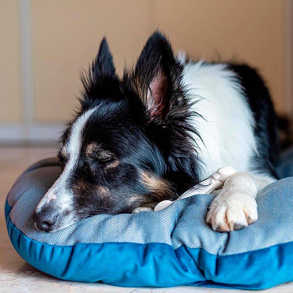 Ferplast - Coussin pour chiens et chats STUART 78/8, double-face, tweed, velours doux, lavable, Marron - Imagen 5