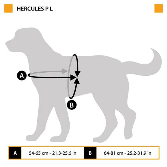 Ferplast - Harnais pour Chiens HERCULES LARGE, Rembourré, Résistant, Anti-griffures, Visible dans l'Obscurité, avec Poignée - Imagen 2