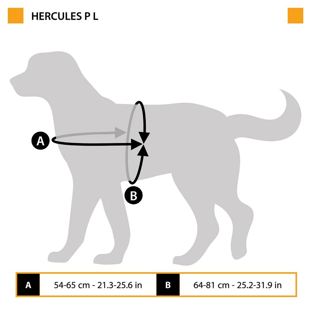 Ferplast - Harnais pour Chiens HERCULES LARGE, Rembourré, Résistant, Anti-griffures, Visible dans l'Obscurité, avec Poignée - Imagen 2