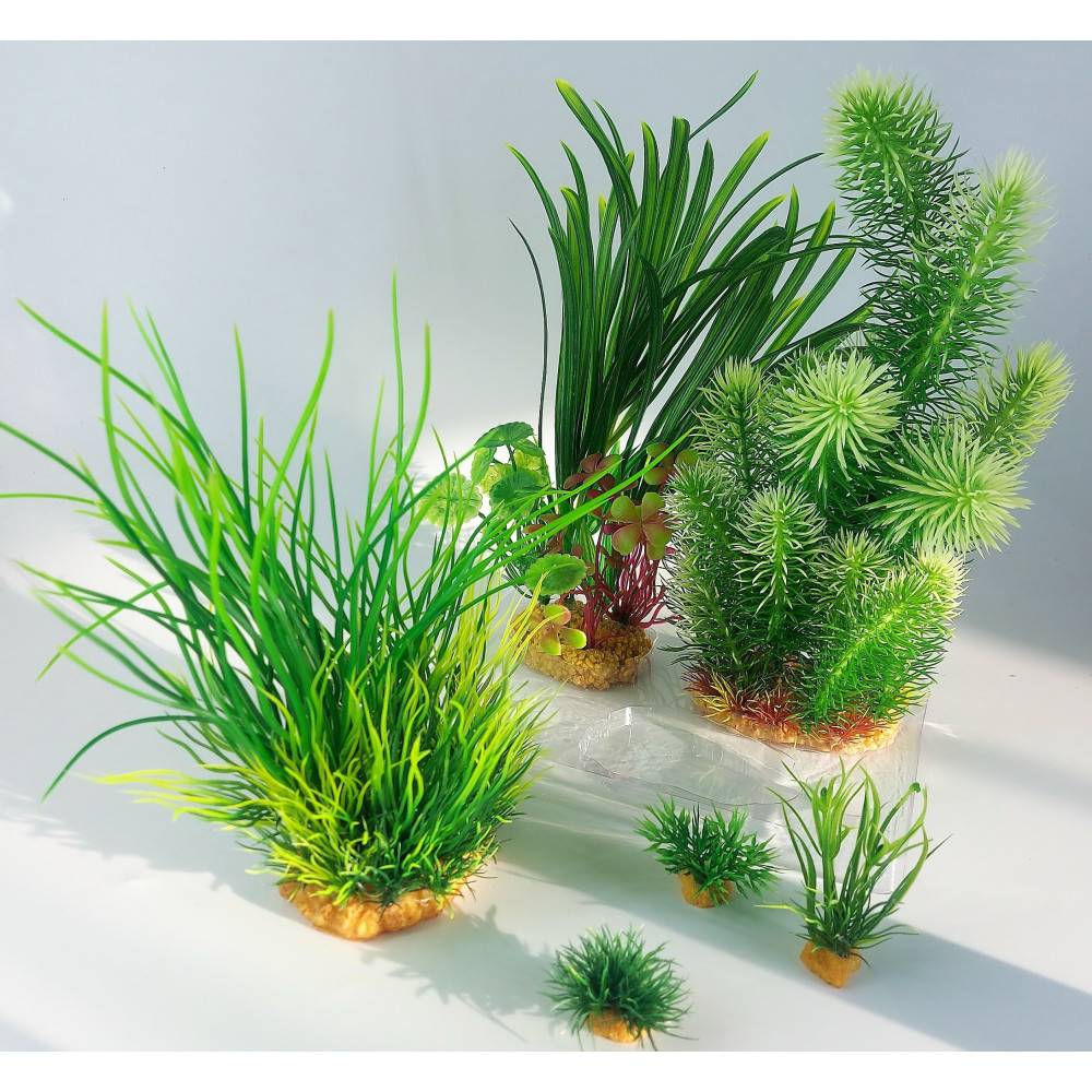 Zolux - Déco plantkit idro N3 plantes artificielles 6 pieces H 28 cm décoration d'aquarium - Imagen 5