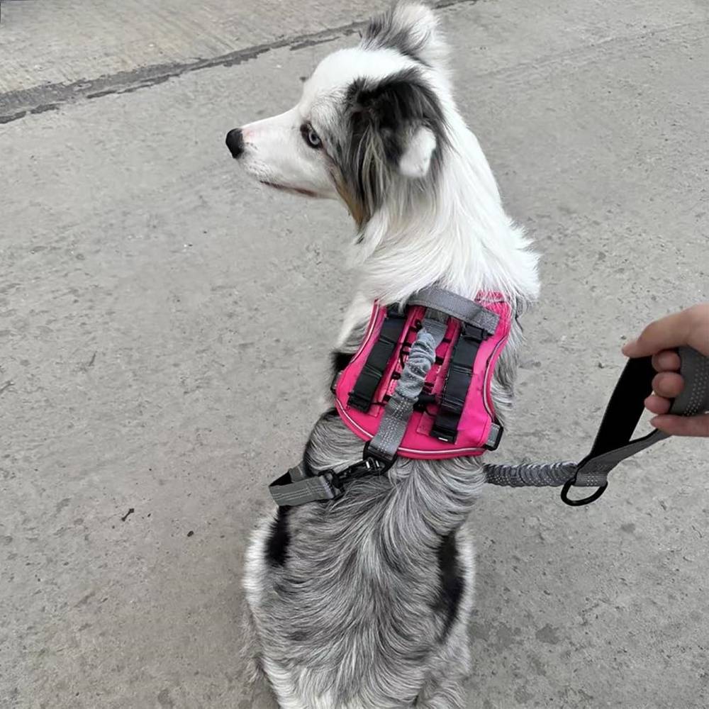 Harnais de gilet tactique pour chien m - IntiMeg - Image 4