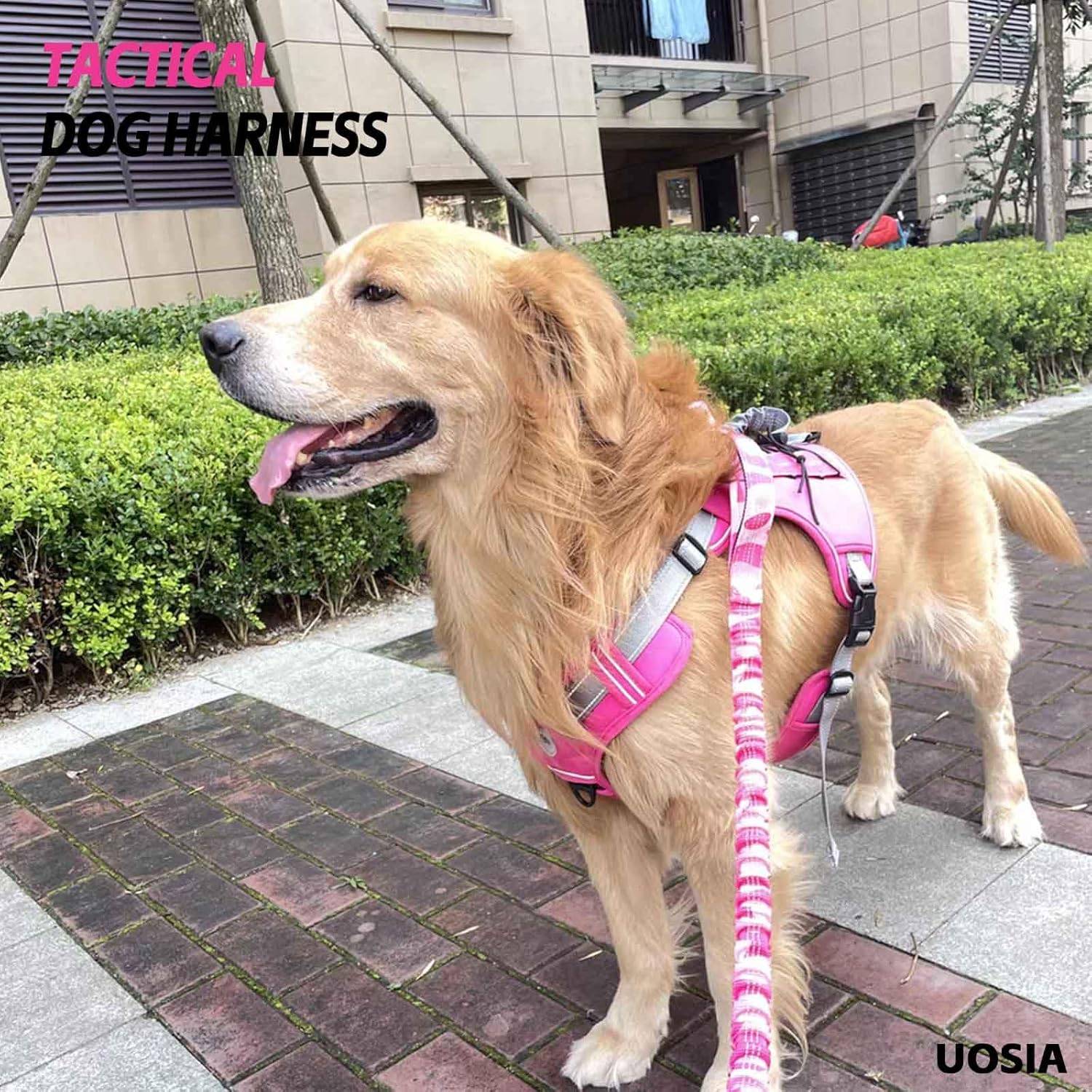 Harnais de gilet tactique pour chien m - IntiMeg - Image 5