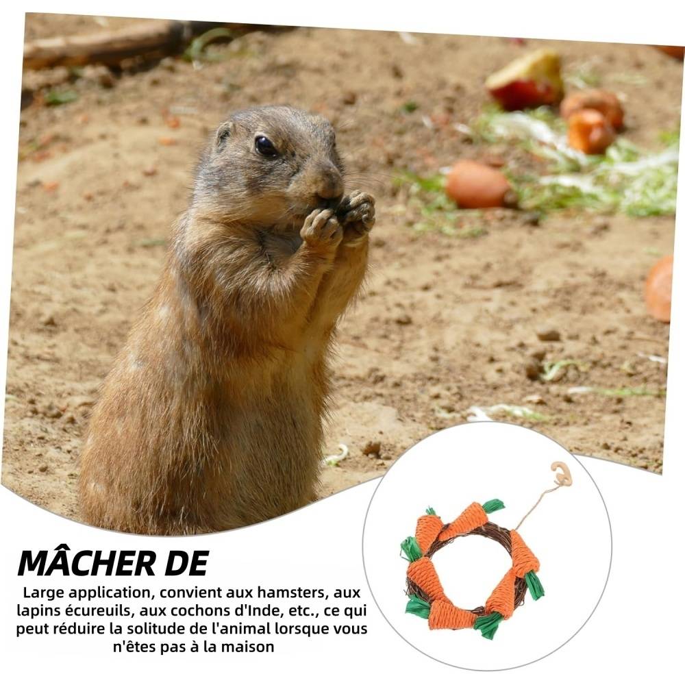 DtopbuyAge - Jouet À Mâcher Pour Lapins Cochons D'Inde Chinchillas DtopbuyAge - Image 4