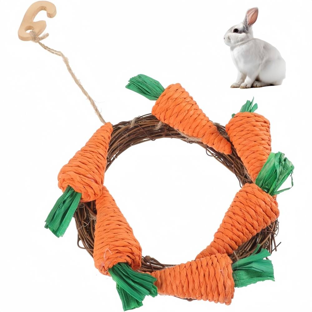 DtopbuyAge - Jouet À Mâcher Pour Lapins Cochons D'Inde Chinchillas DtopbuyAge - Image 1