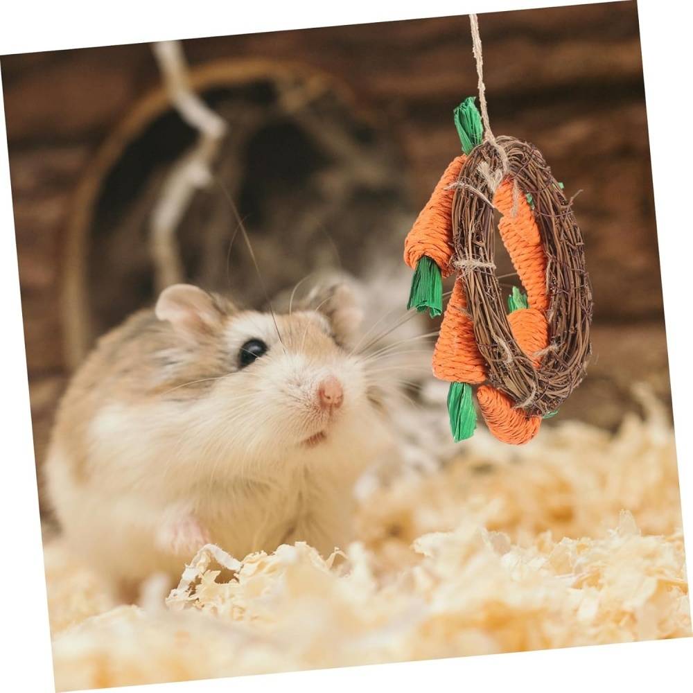DtopbuyAge - Jouet À Mâcher Pour Lapins Cochons D'Inde Chinchillas DtopbuyAge - Image 5