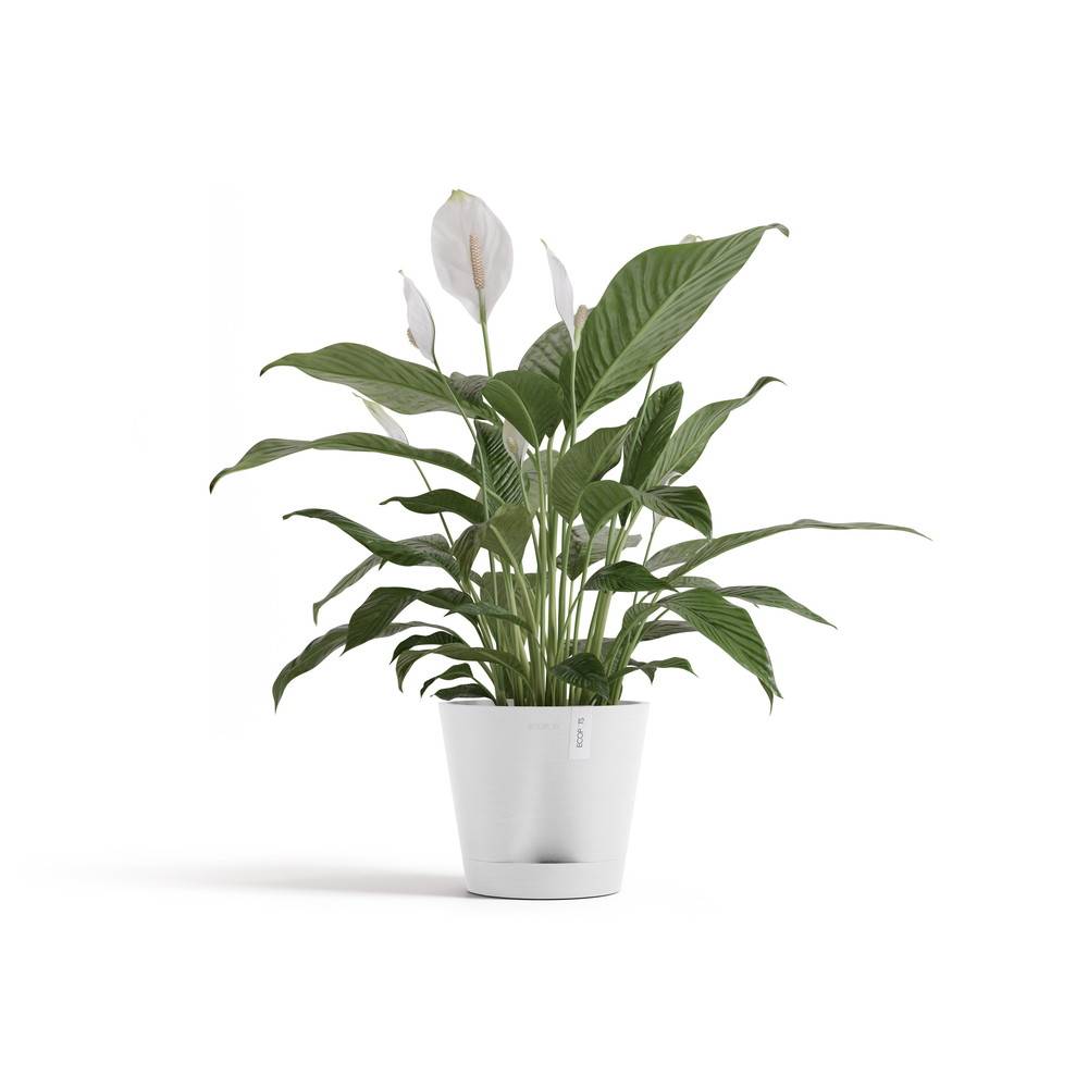 Ecopots - Pot Rond Venice 2 Blanc Pur + réservoir d'eau - Ø 20 x H. 17,5 cm - 4 L ECOPOTS