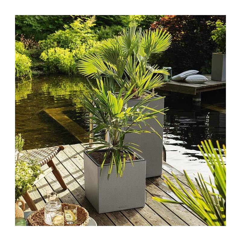 Lechuza - Pot De Fleur Lechuza Canto Stone Colonne 40 - Kit Complet Led, Gris Pierre - Imagen 5