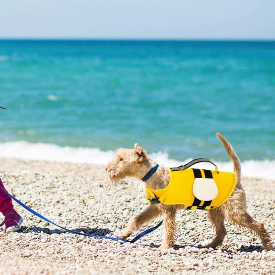 Gilet de sauvetage pour chien - Flottaison haute visibilité - Design abeille - Poignée de secours - Living123 - Image 7