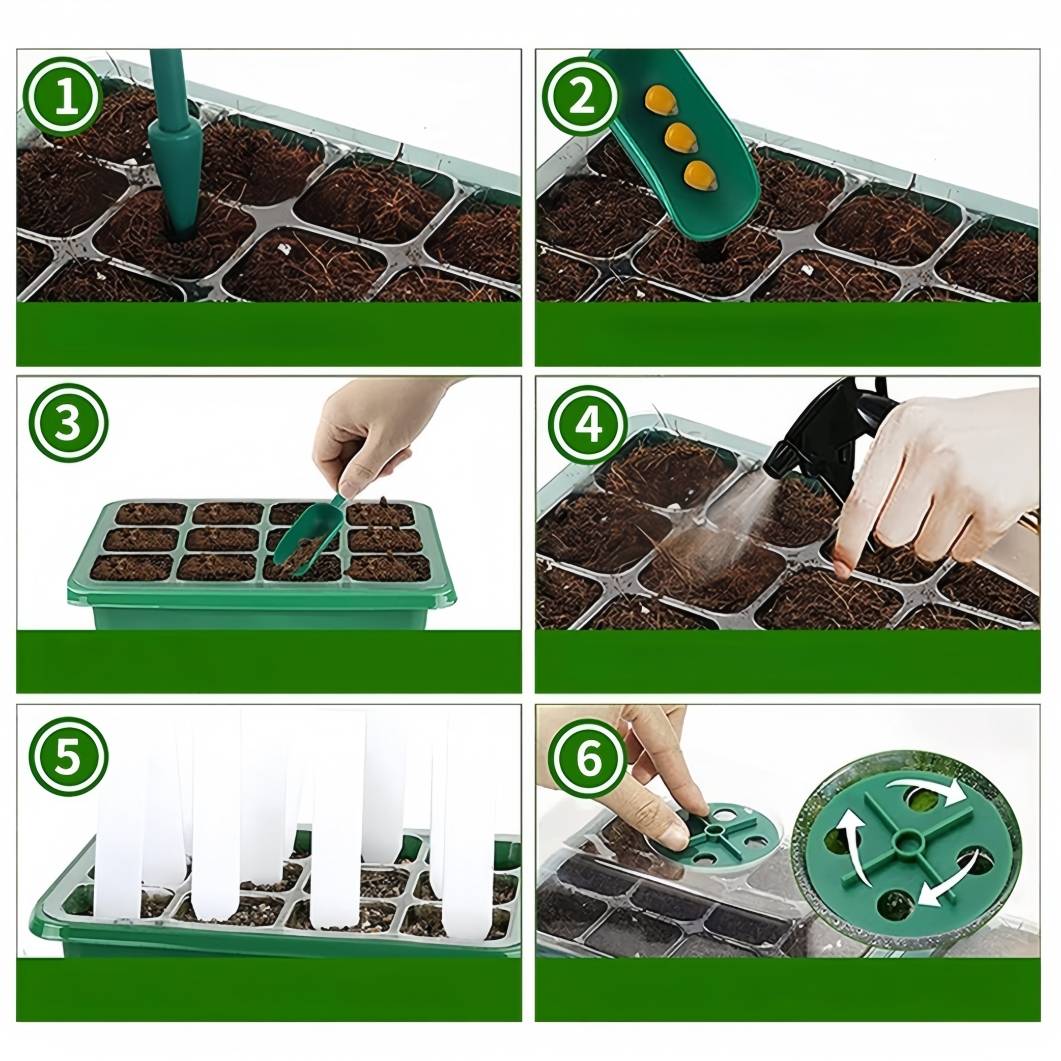 Kit Jardinage Débutants Semences Mini Serre Pour Plantes,3 Bac à Semis,12 Trous Serre Interieur Plateaux Terreau Universel
