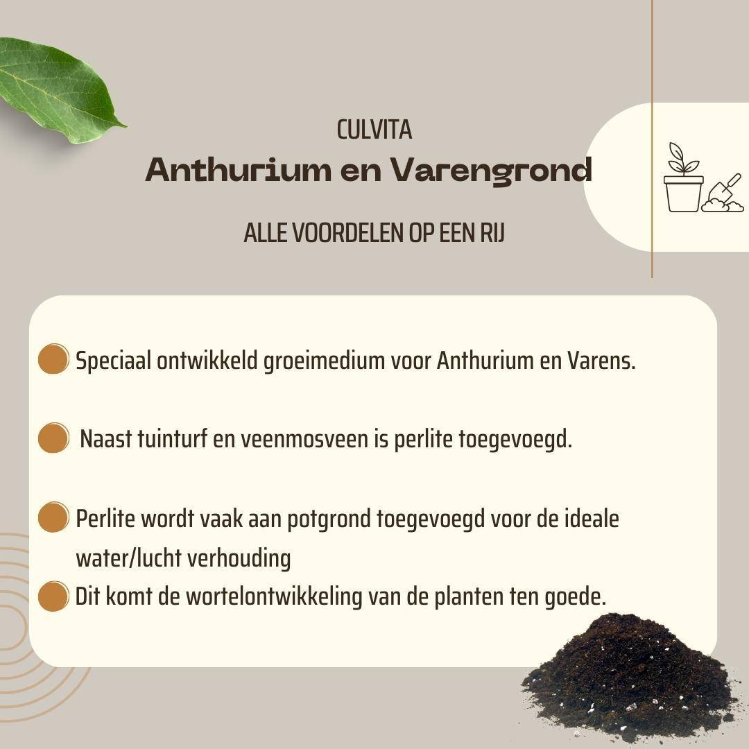 La Green Touch - Terreau pour anthuriums et fougères Culvita - 5 litres - Image 5