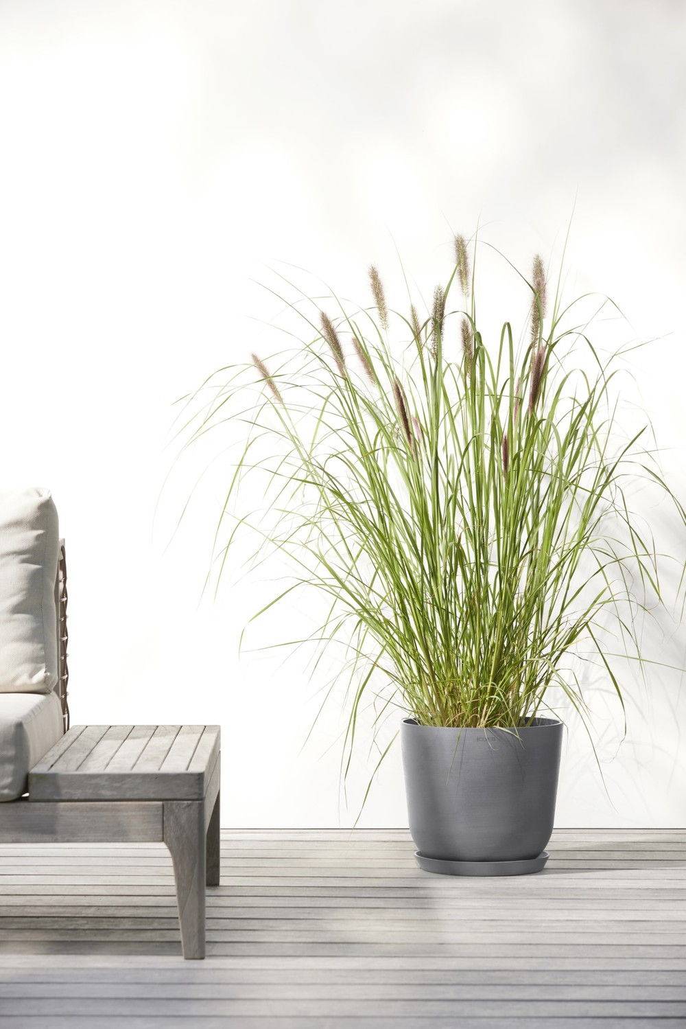 Ecopots - Maceta Redonda Oslo 25 Gris - Ø 25 x H. 21,8 cm - 7,7 L ECOPOTS - Imagen 5