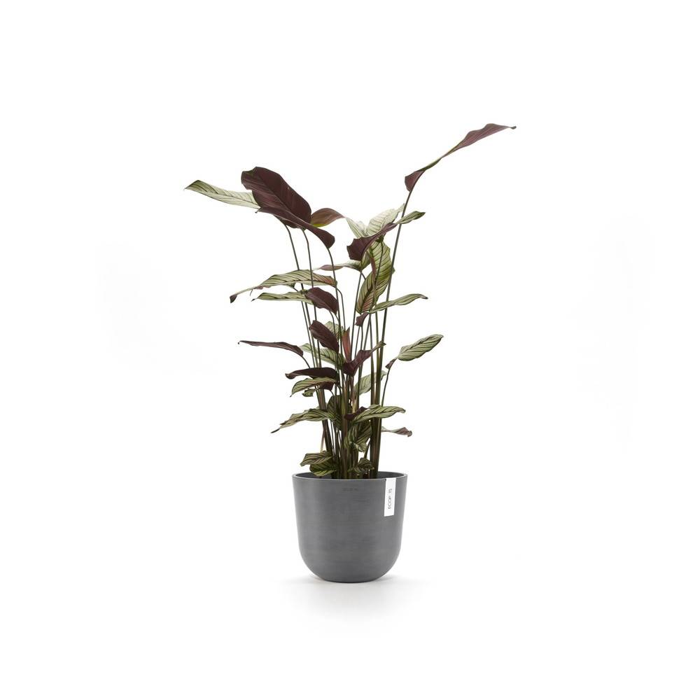 Ecopots - Maceta Redonda Oslo 25 Gris - Ø 25 x H. 21,8 cm - 7,7 L ECOPOTS - Imagen 3