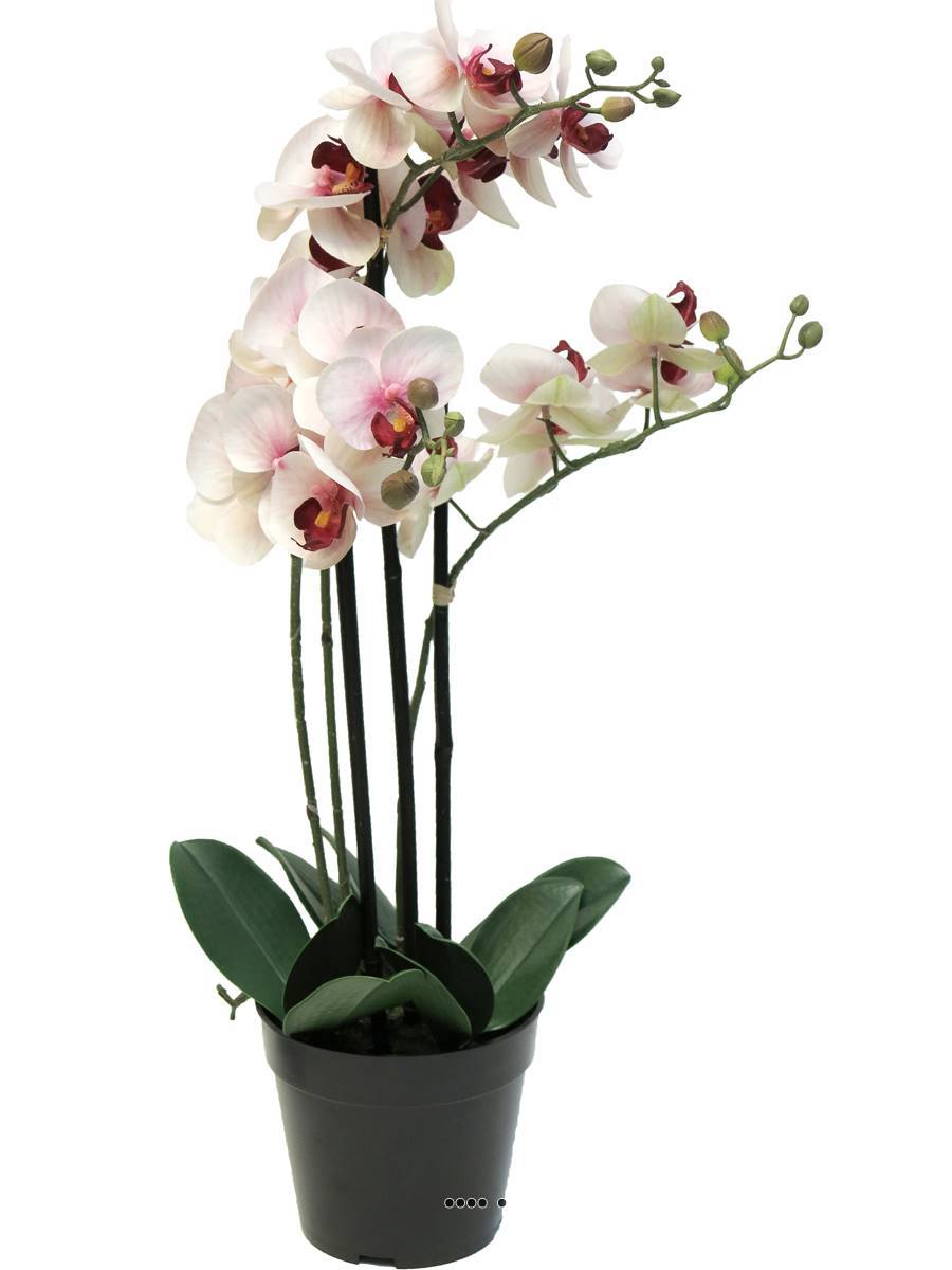 Artificielles - Orchidée Phalaenopsis faux 3 hampes H60 cm Top qualité Rose-crème BEST - couleur: Rose-crème - Imagen 2