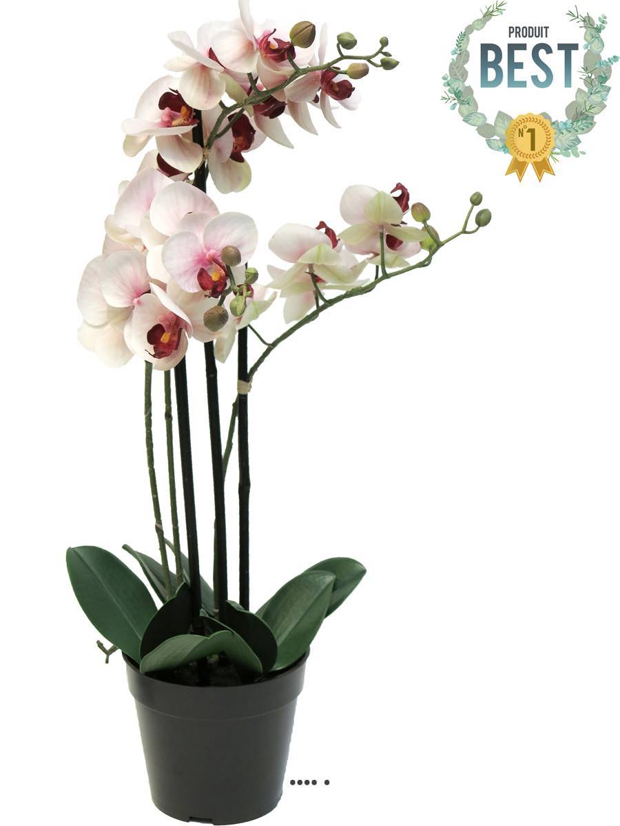 Artificielles - Orchidée Phalaenopsis faux 3 hampes H60 cm Top qualité Rose-crème BEST - couleur: Rose-crème - Imagen 1