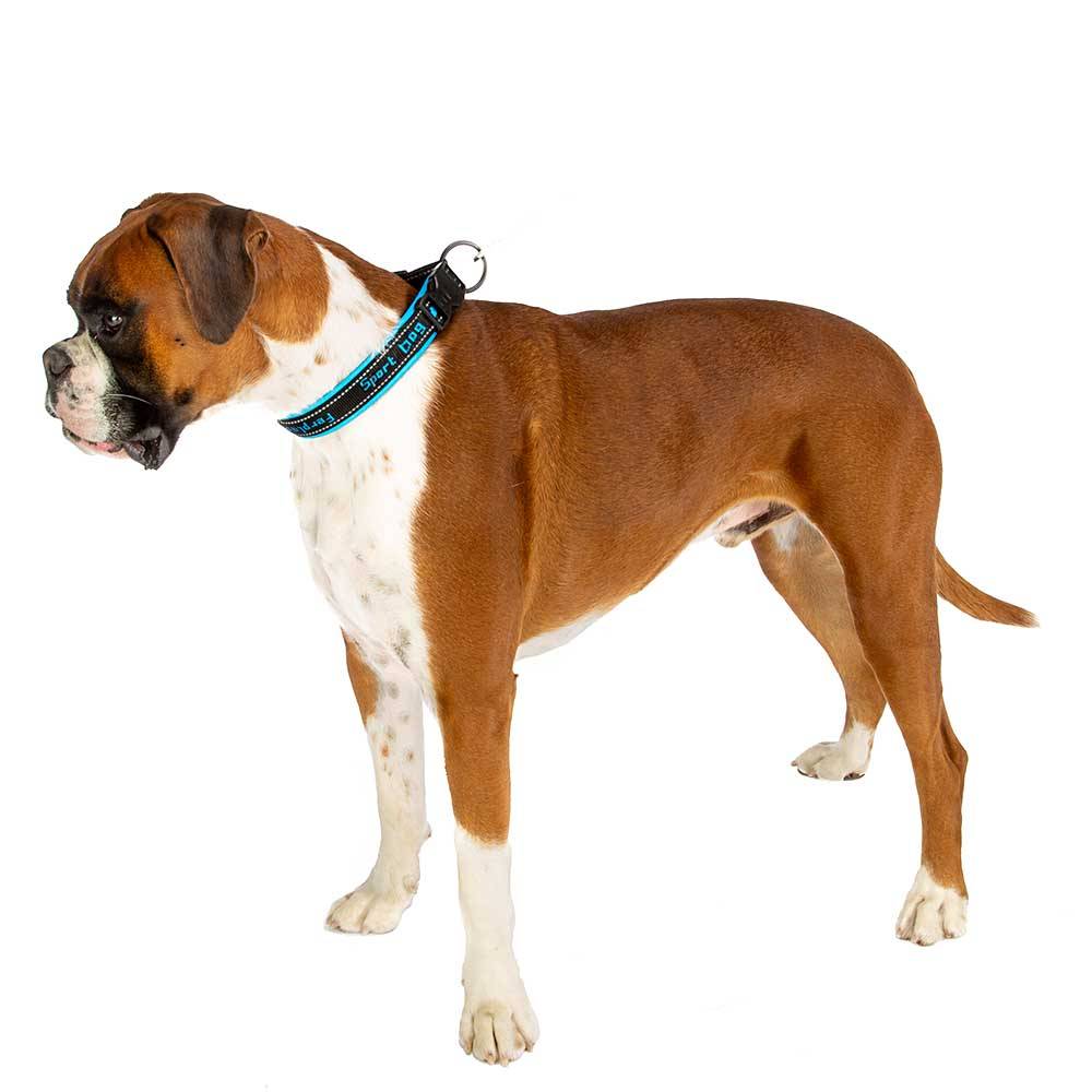 Ferplast - Ferplast Collier Chien SPORT DOG, Collier pour Chien de Taille Grande, Rembourrage Doux, Coutures réfléchissantes, Étiquette pour le nom de l'animal, - Imagen 7