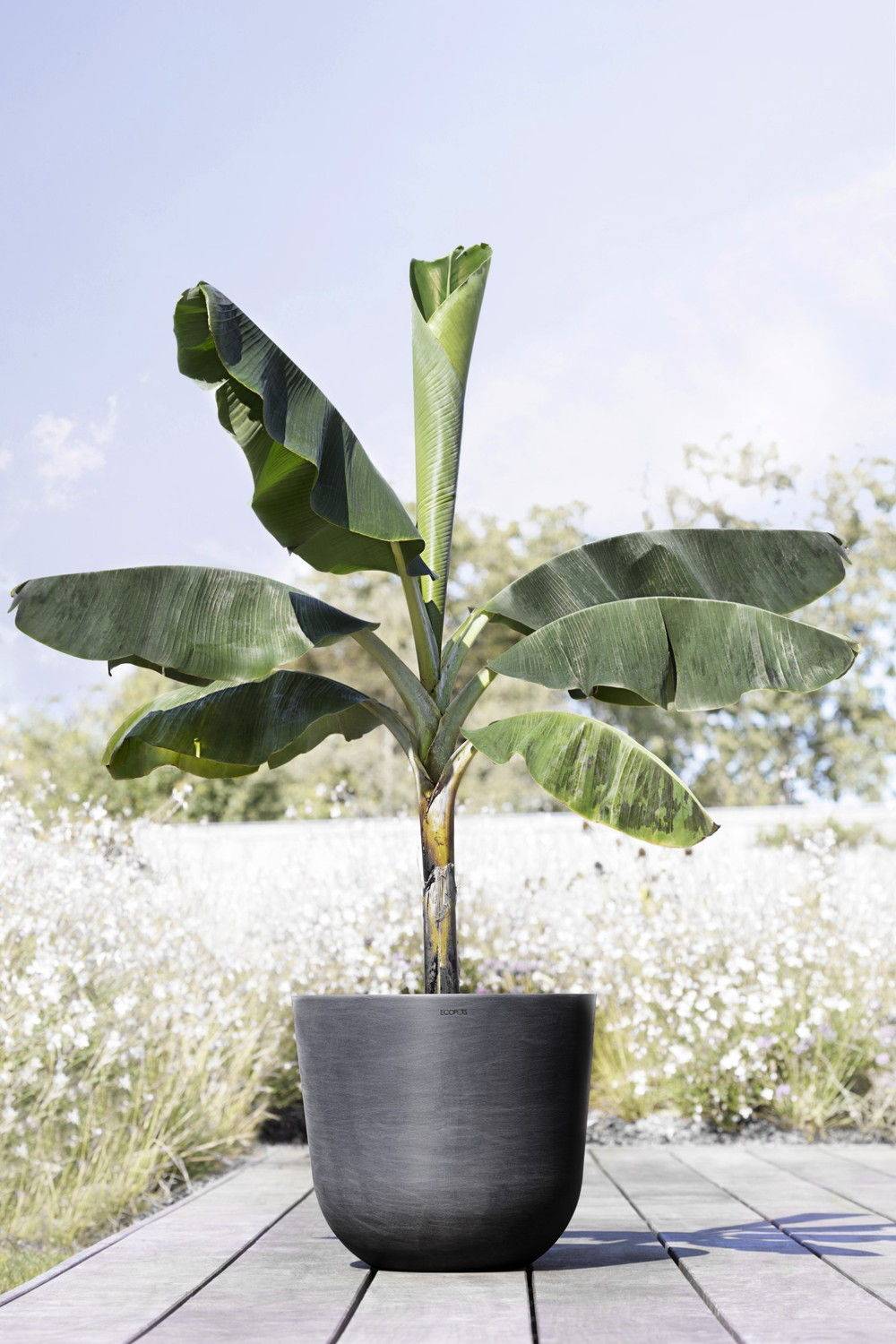 Ecopots - Pot Rond Oslo 45 Gris Foncé - Ø 45 x H. 39,2 cm - 46,6 L ECOPOTS - Imagen 4