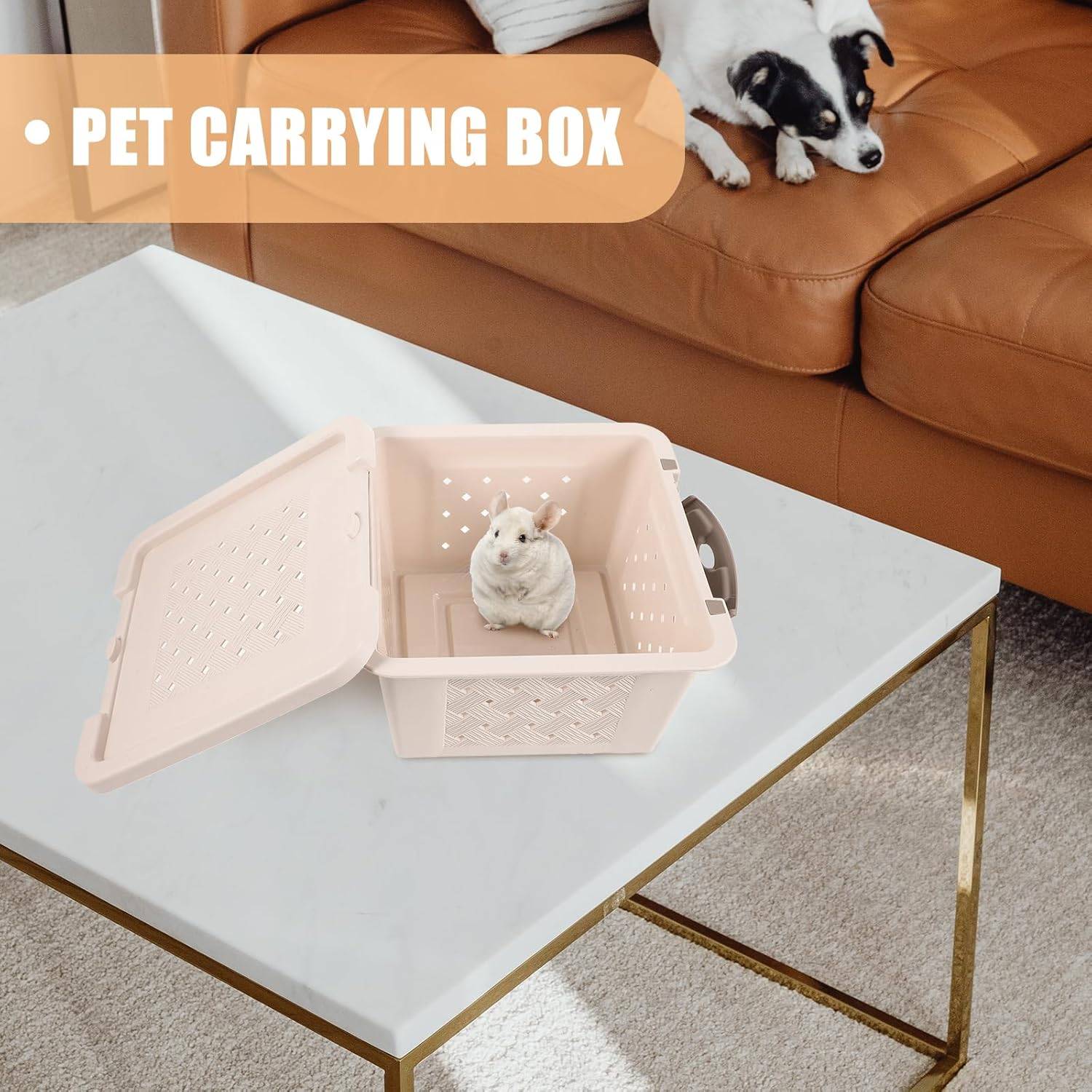 Boîte de Transport pour Petit Animal DtopbuyAge - Image 4