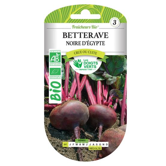 Graines betterave noire d'Egypte BIO Les Doigts Verts - Image 2