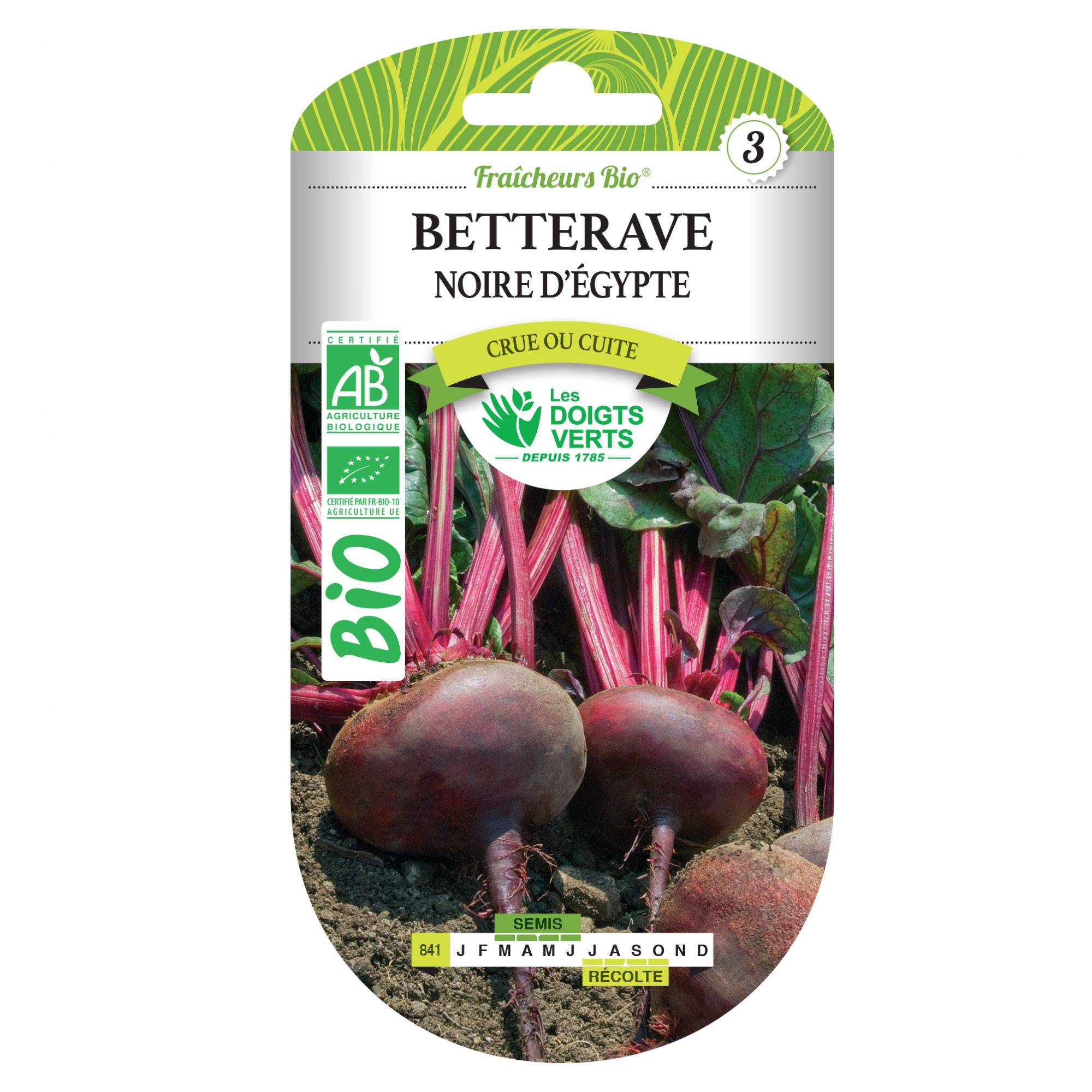 Graines betterave noire d'Egypte BIO Les Doigts Verts - Image 2