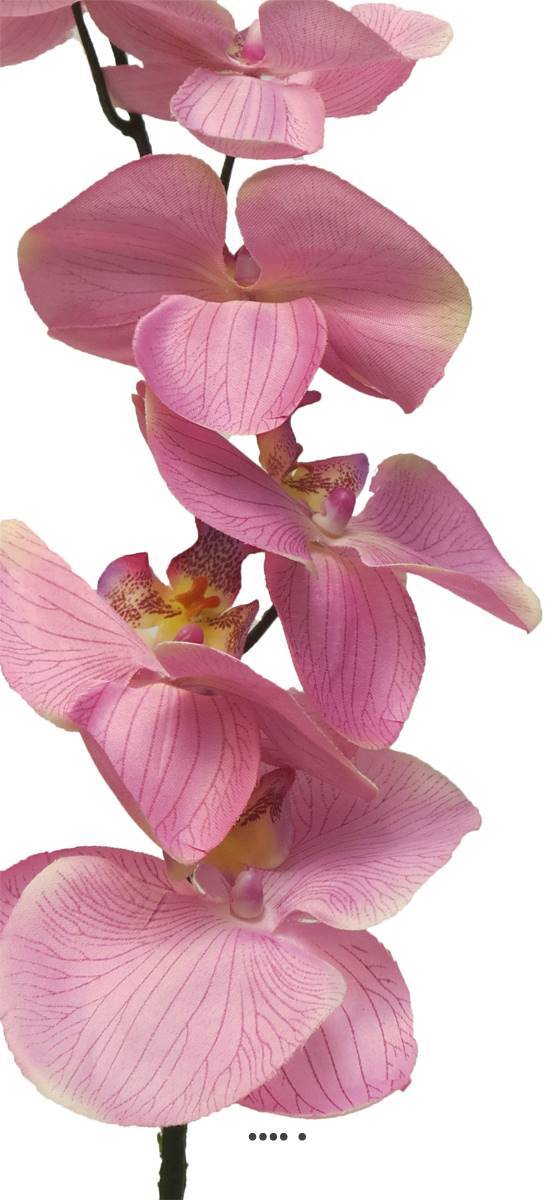 Artificielles - Tige d&rsquo;orchidée phalaenopsis artificielle, H 78 cm Rose - BEST - couleur: Rose - Imagen 3