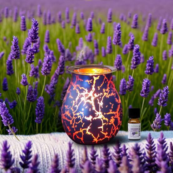 Zen'Arôme Brûleur Cire Parfumée Calorya n°10 - Brûleur Électrique Fondant Parfumé - Lampe à Parfum - Coupelle Amovible - Image 5