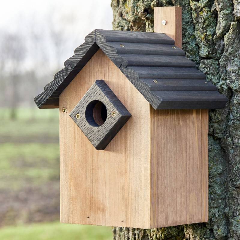 Mangeoire oiseaux extérieur à suspendre pour oiseaux sauvages en bois massif toit gris - Image 1