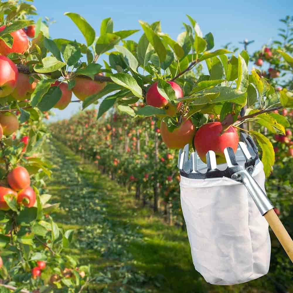 Sans Marque - Cueille fruits Ø 13,5 cm avec panier métal et toile - Image 2