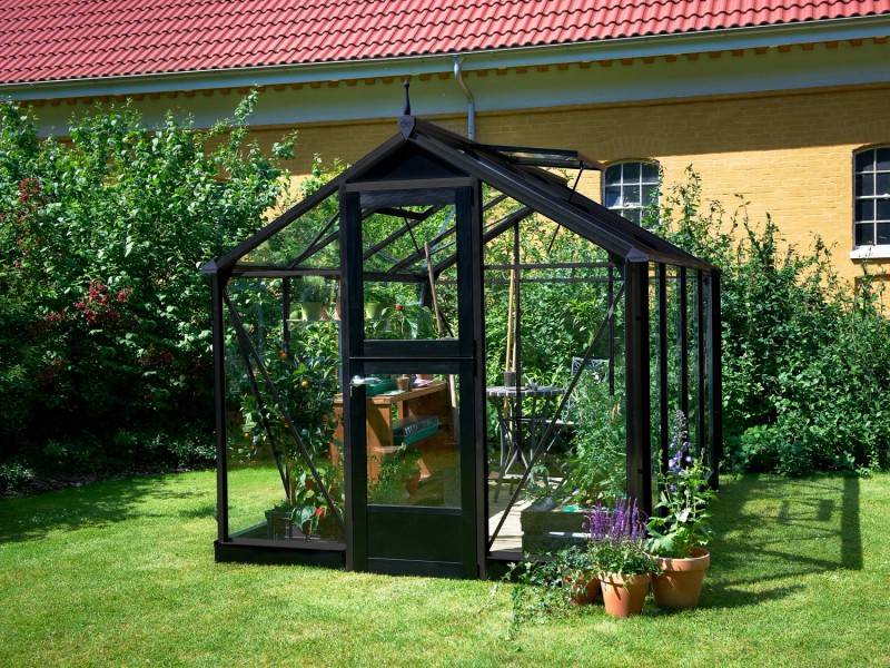 Juliana - Serre en verre trempé 6,6 m² Compact , anthracite - Juliana - Image 1