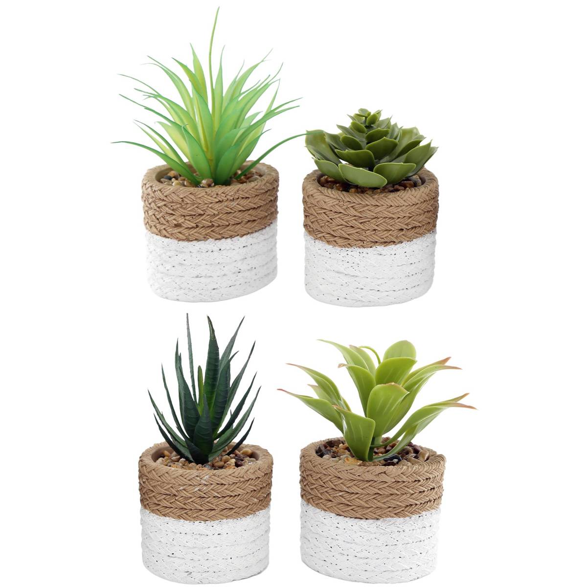 Sil - Plante succulente en pot bicolore 8 x 15 cm (Lot de 4) Sil - Imagen 1