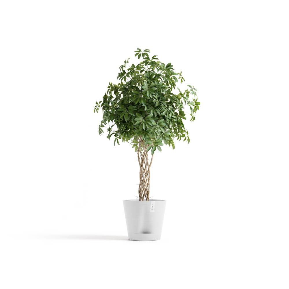 Ecopots - Pot Rond Venice 2 Blanc Pur + réservoir d'eau - Ø 40 x H. 35 cm - 4 L ECOPOTS